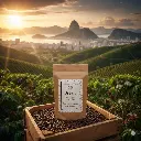 bresil plantation3.webp